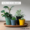 gardens エコプレートオーバル アーブル 400.|s2